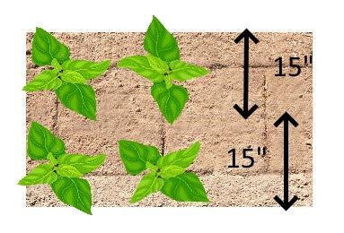 Gridder Kit | Rolling Dibbler | Bed Marker | Transplant Layout | Roller ...